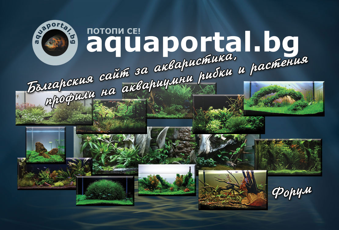 Aquaportal Calendar