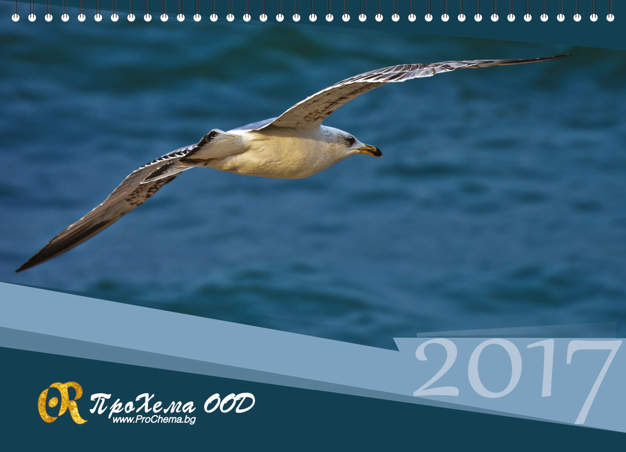 Calendar for ProChema Ltd.