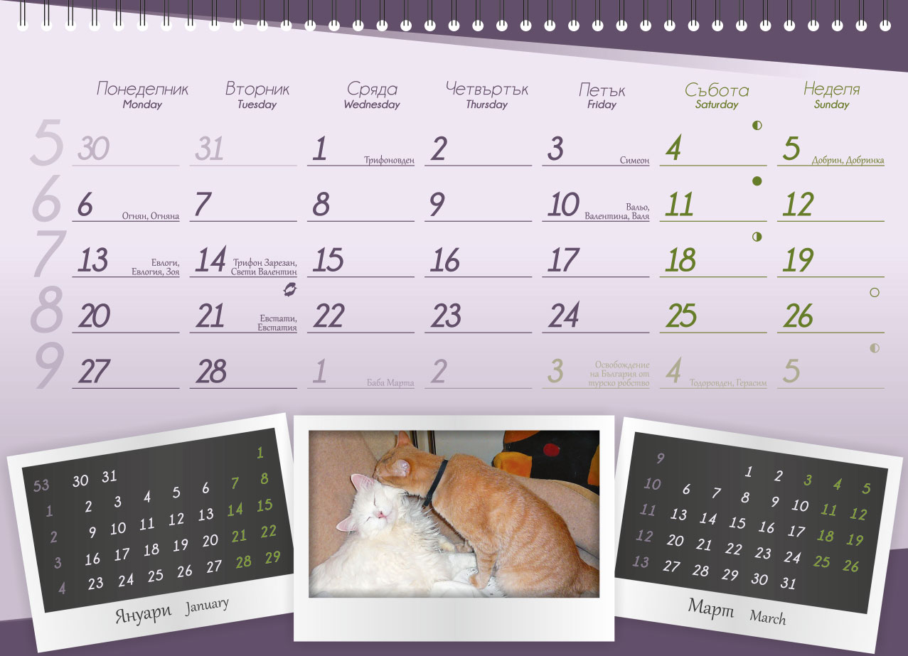 Calendar for ProChema Ltd.