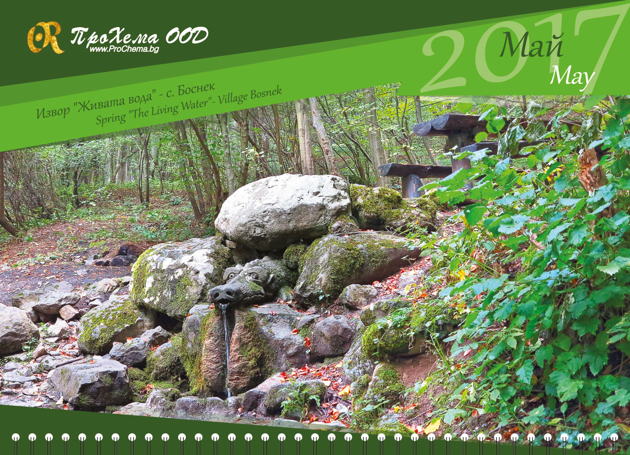 Calendar for ProChema Ltd.