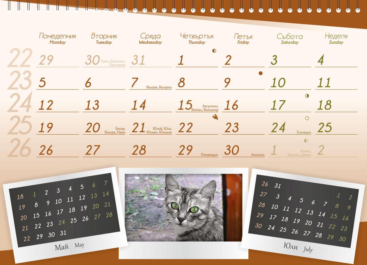 Calendar for ProChema Ltd.
