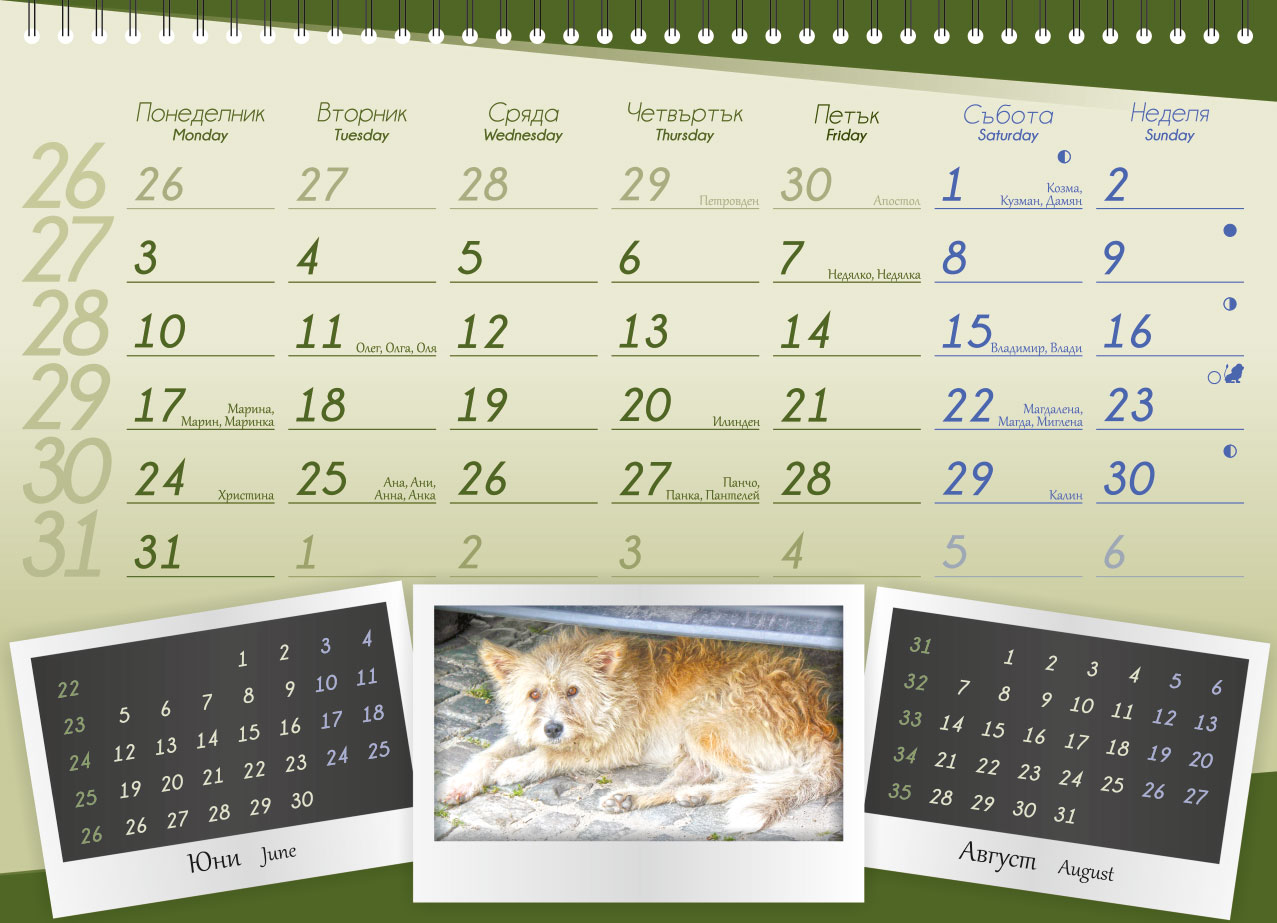 Calendar for ProChema Ltd.