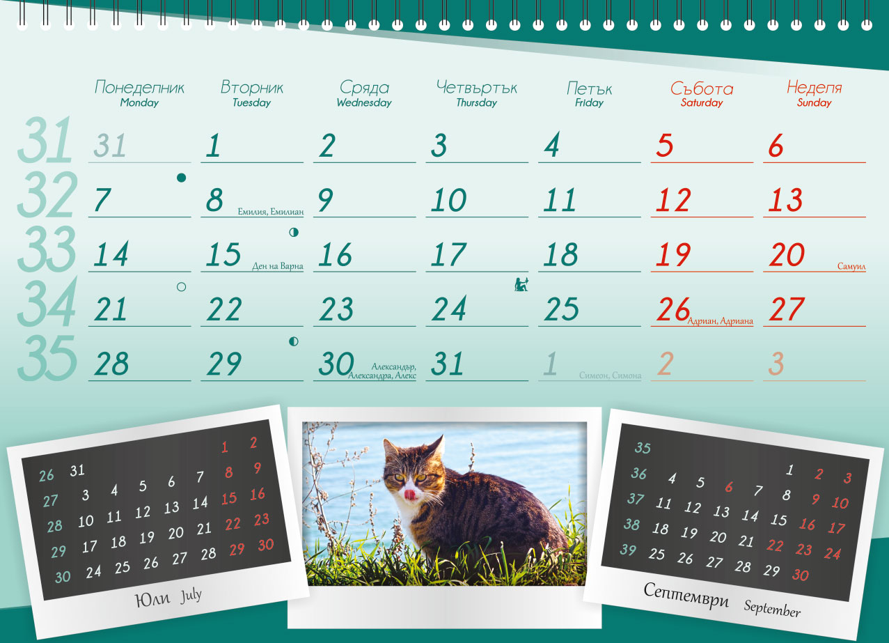 Calendar for ProChema Ltd.