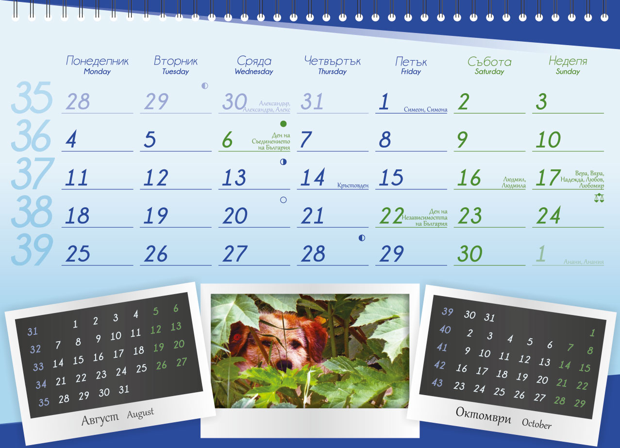 Calendar for ProChema Ltd.