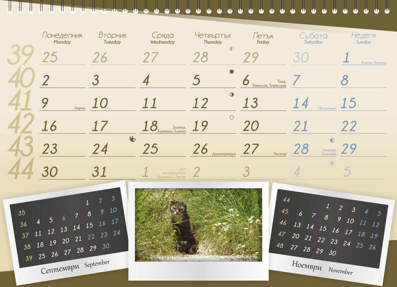 Calendar for ProChema Ltd.