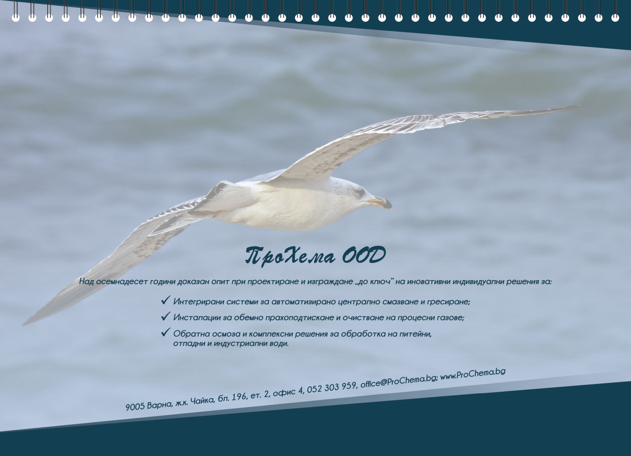 Calendar for ProChema Ltd.